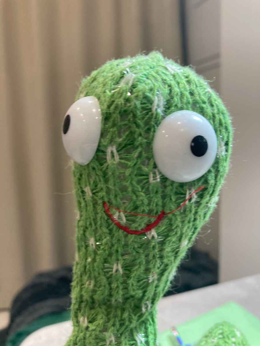 Весёлый кактус