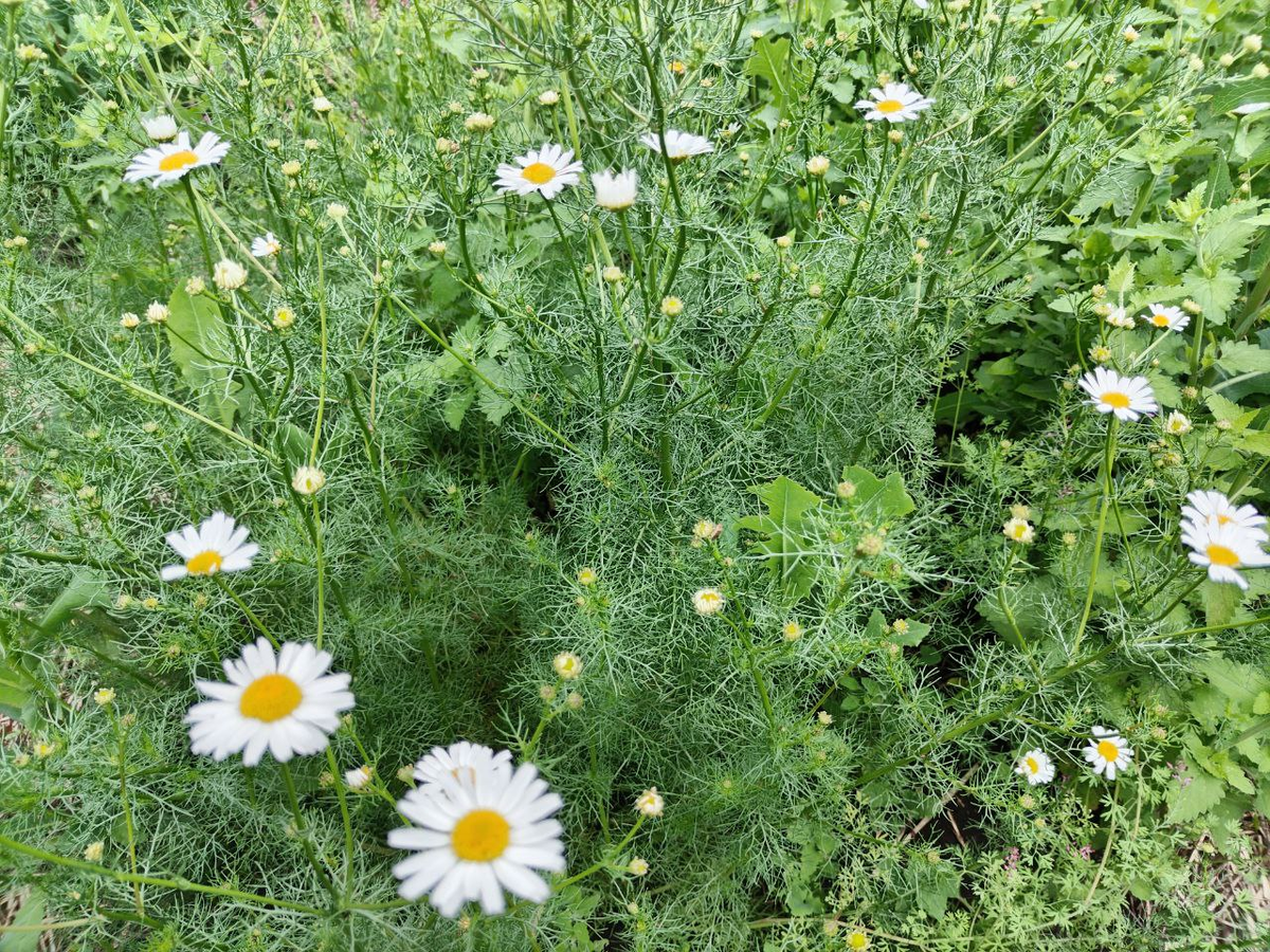 Фото автора.