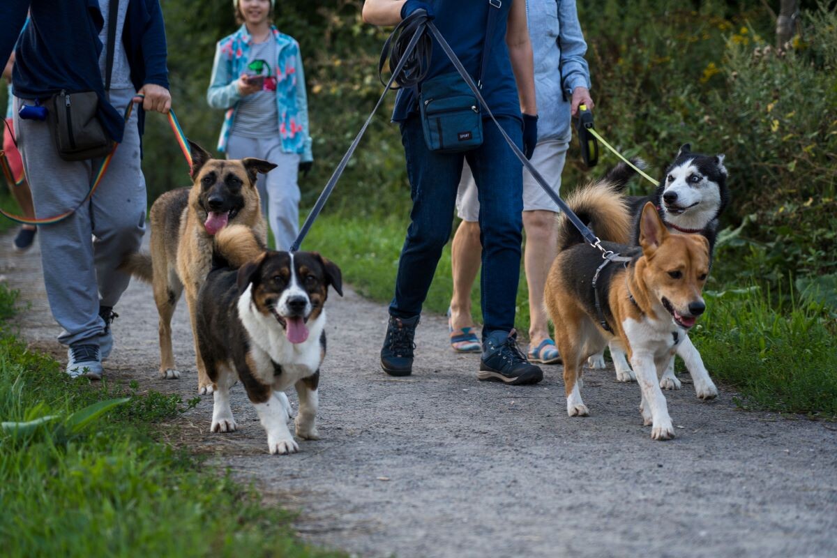 Фото: Александр Плонский / «ВиЖ»