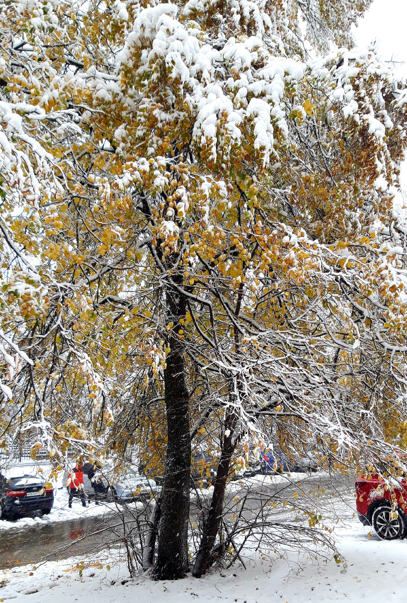 Фотография автора 