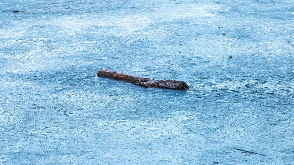 Фото: freepik.com. Лёд