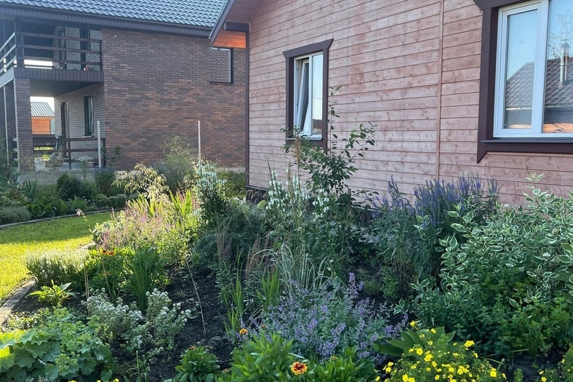 💚Идеальный пример молодого сада, созданного на месте бурьяна