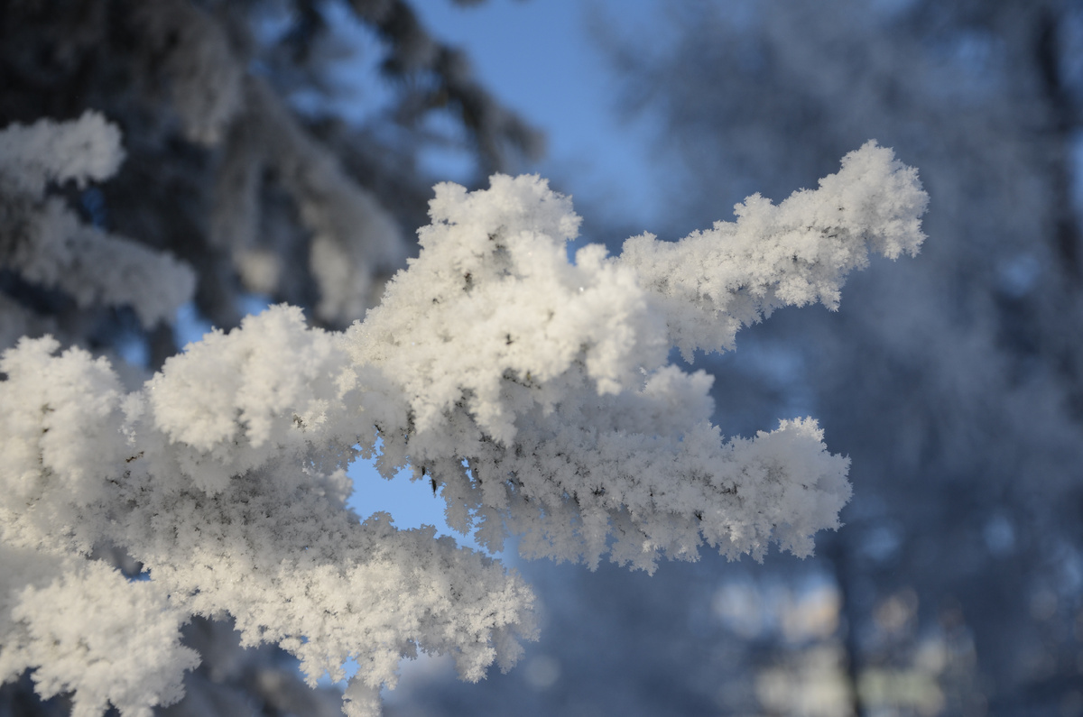 Для обложки использовала этот снимок. Автор фото - моя дочь.