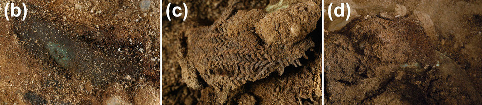   Clemence Iacconi et al. / Journal of Archaeological Science, 2024