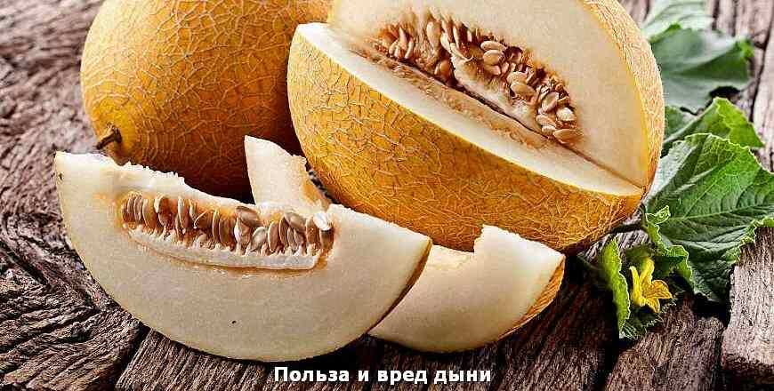 Дыня: польза и вред