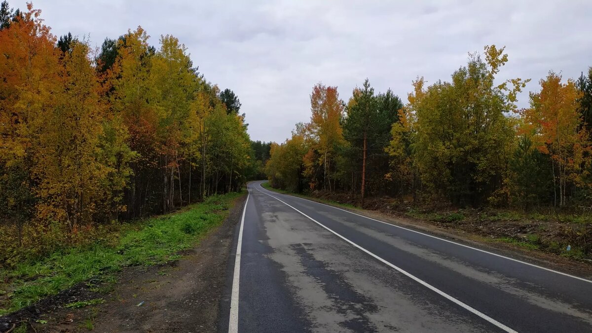     Источник: 1MI