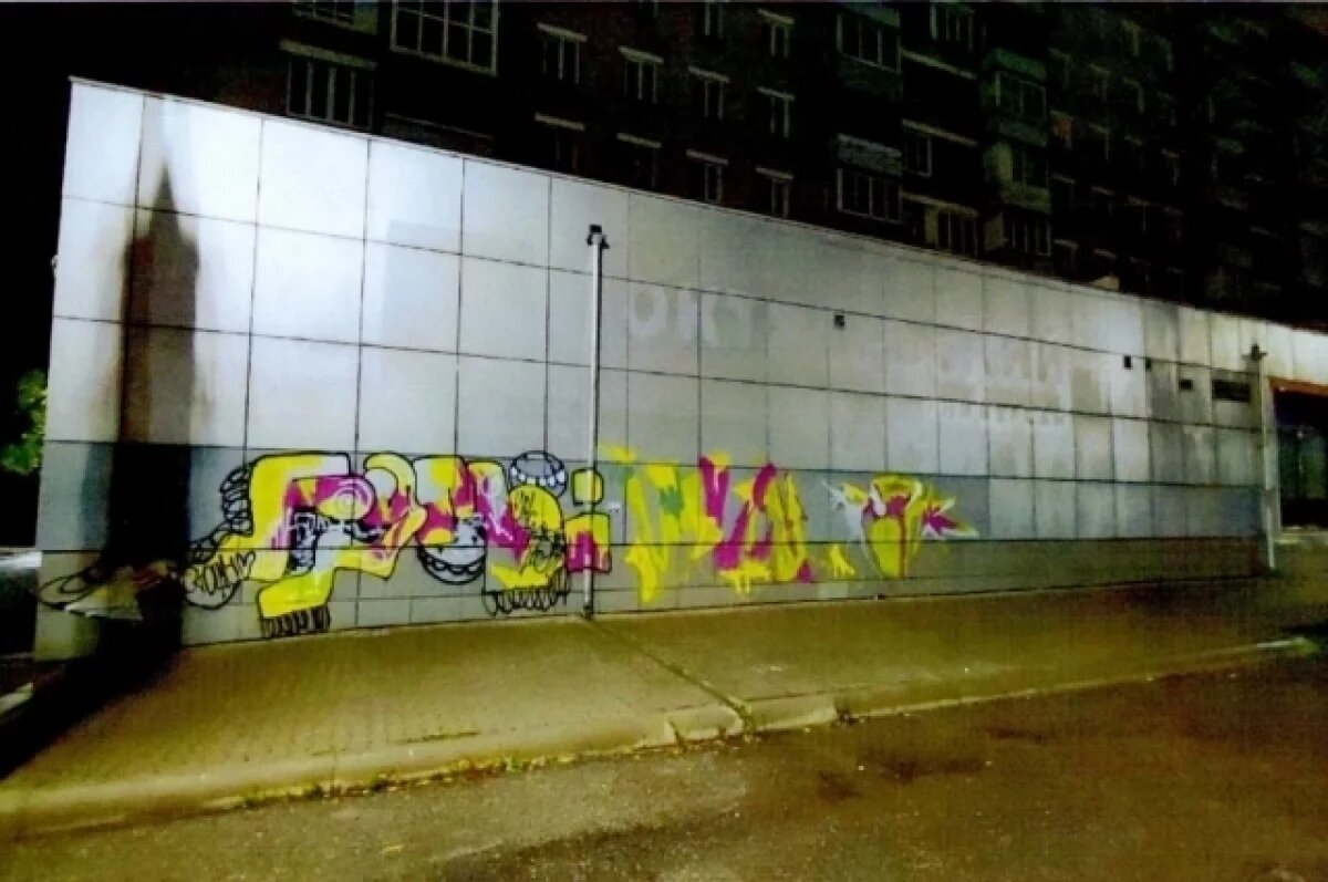    В Ярославле полиция поймала вандалов, рисовавших граффити