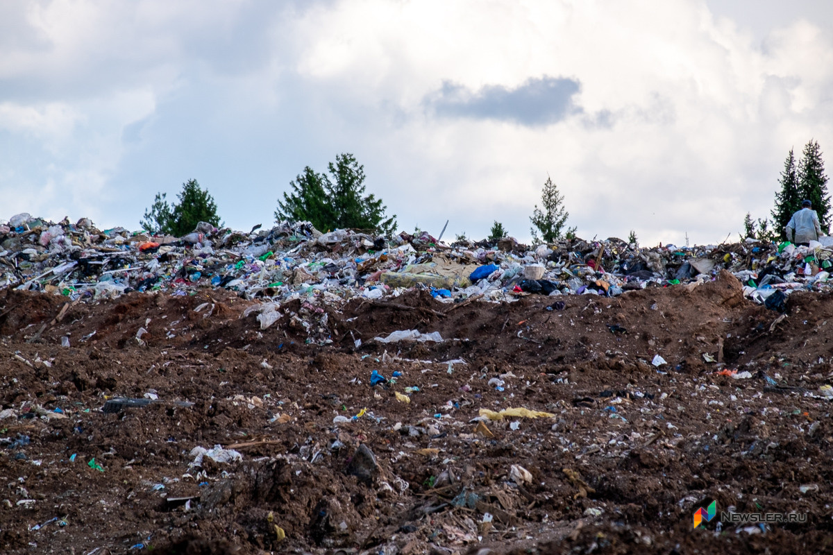 Фото взято из открытых источников