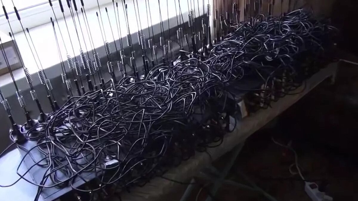    Фото: ГУ МВД России по Краснодарскому краю