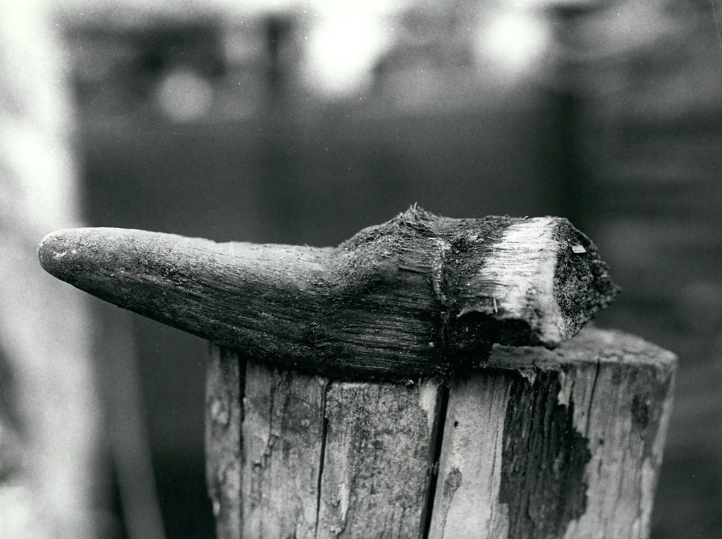 Фото: Zuma / TASS