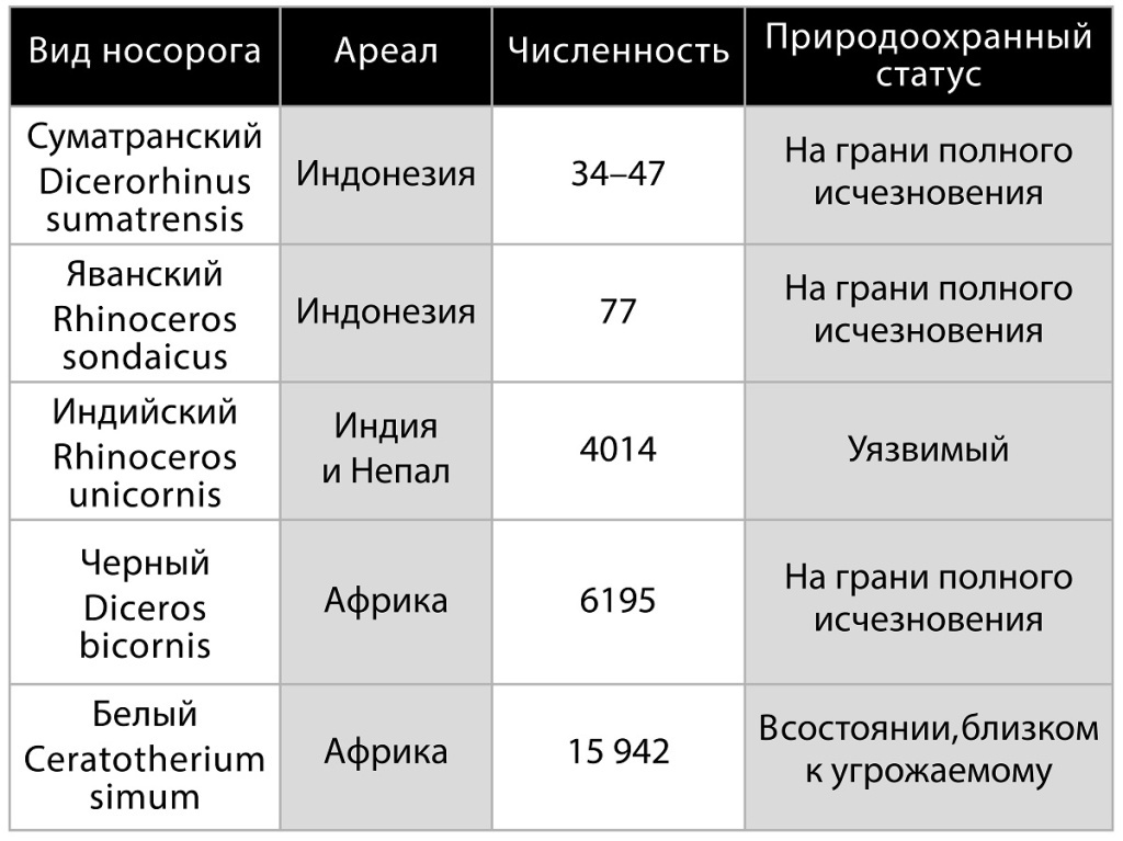 Численность носорогов, по данным благотворительной природоохранной организации Save the Rhino International