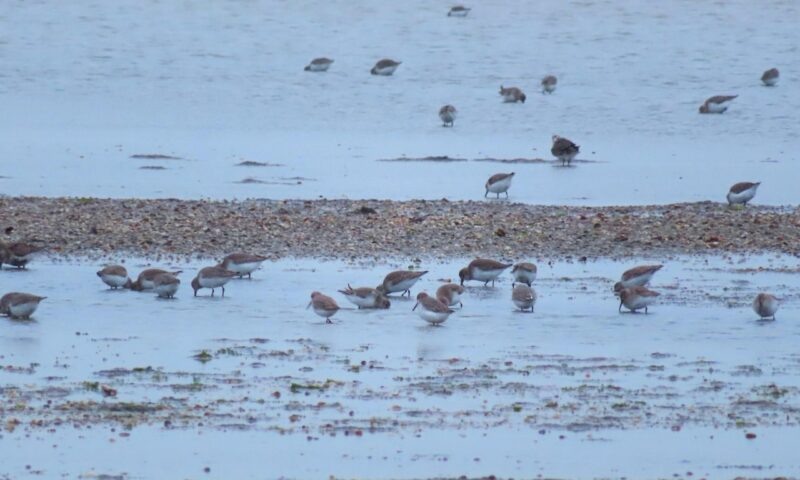    Фото t.me/mpr_kk