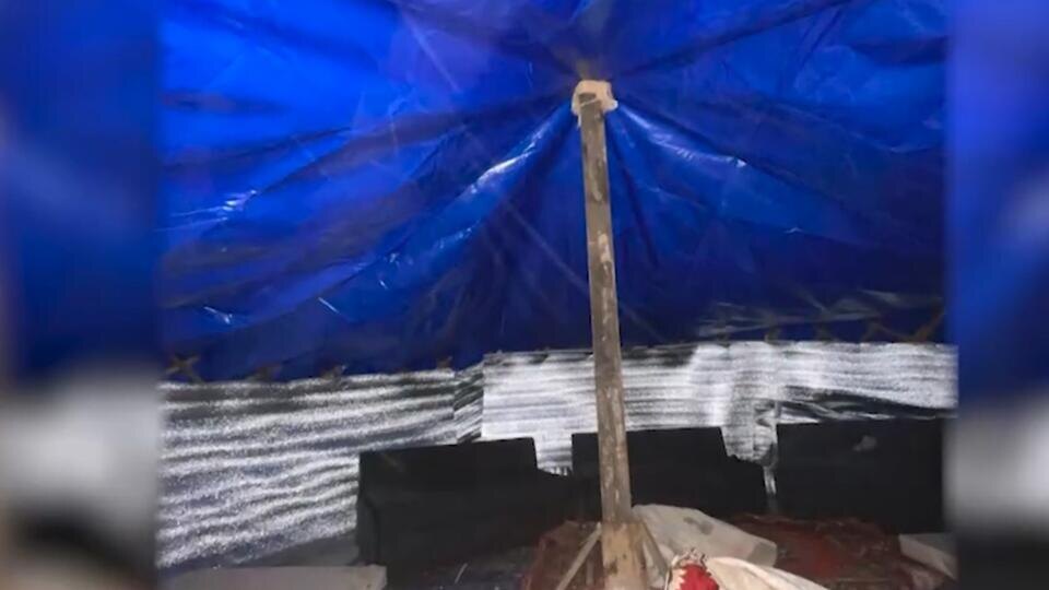 Фото: скриншот видео 