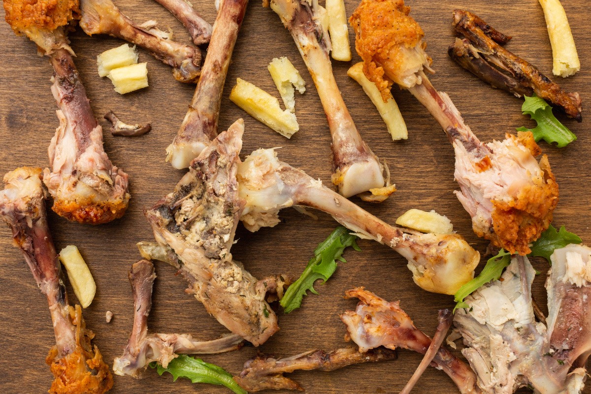 Остатки еды - одно из любимых лакомств тараканов