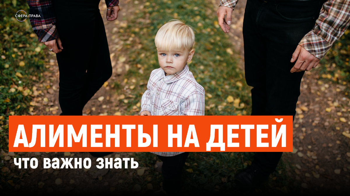 Как взыскать алименты