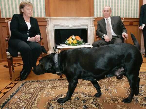    © РИА Новости Дмитрий Астахов