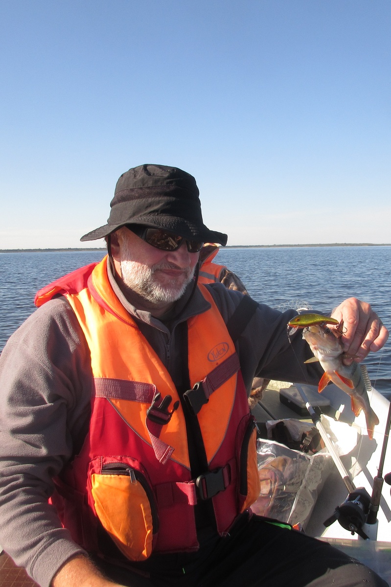 фото 9  Фасоль «золото»