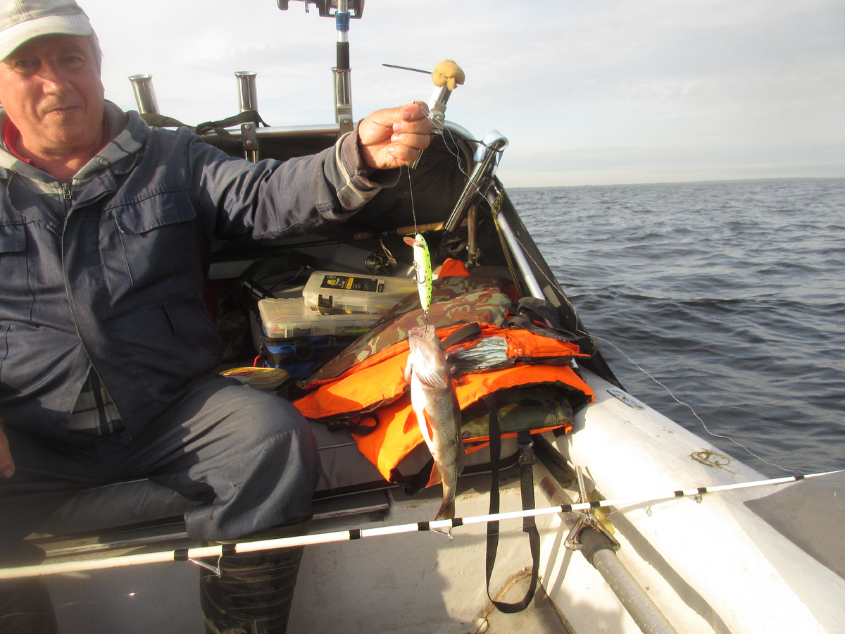 фото 11 Джумбо 430