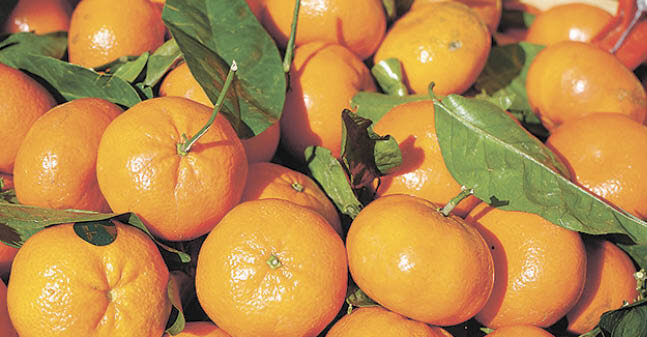 Фото: pixabay.com