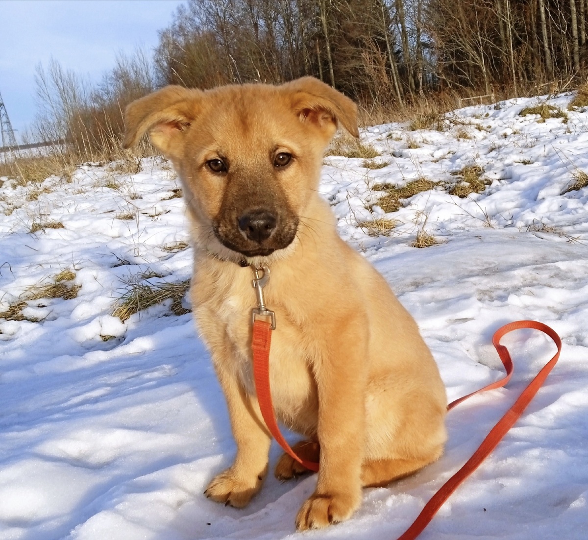 Первая прогулка и сразу - фотосессия. Надо выглядеть серьезным.