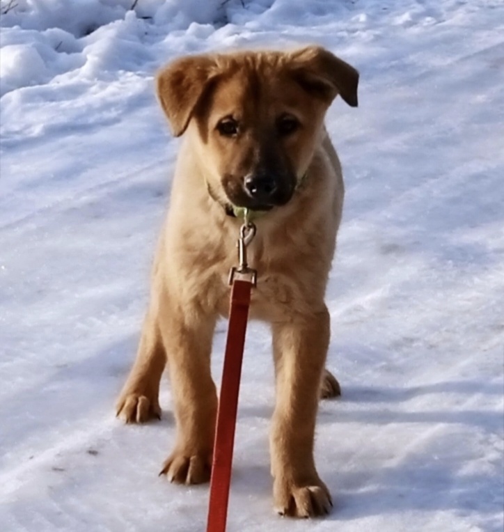 Смело, озорно! 