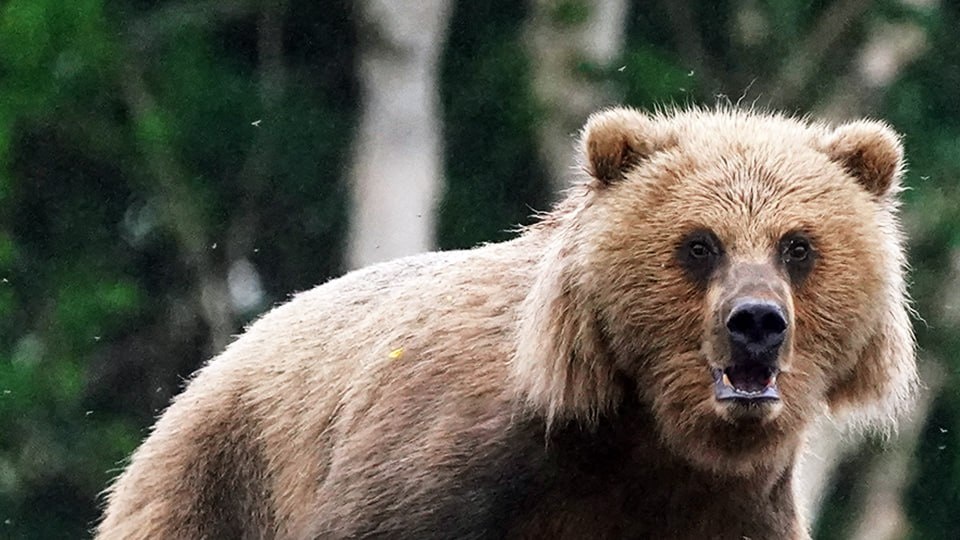 Фото: ИЗВЕСТИЯ/Эдуард Корниенко