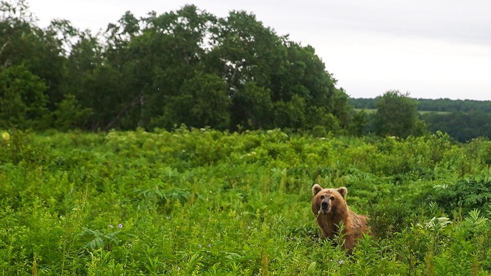Фото: ИЗВЕСТИЯ/Эдуард Корниенко