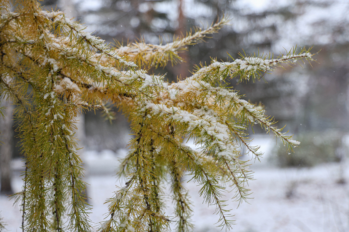 Andrey Titov/Business Online/Global Look Press