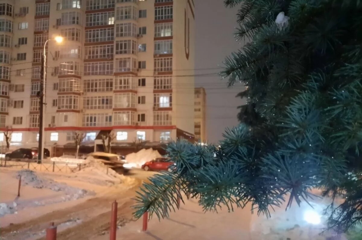    В Воронеже будут работать 12 елочных базаров