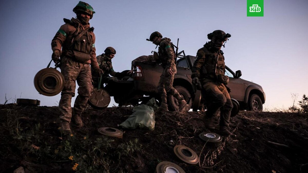    Фото: @official24ombr / t.me