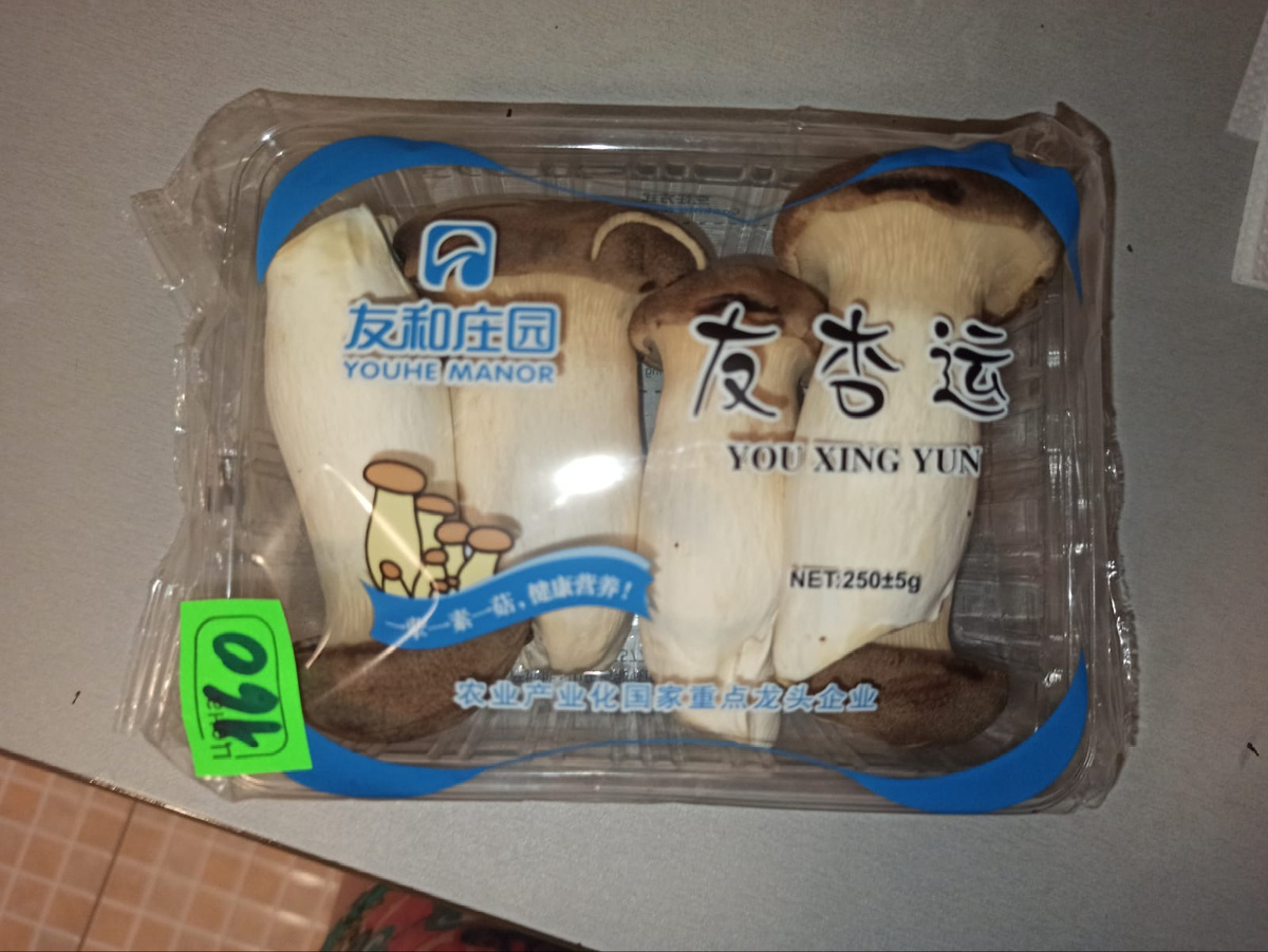 Фото дочери. Степные вешенки