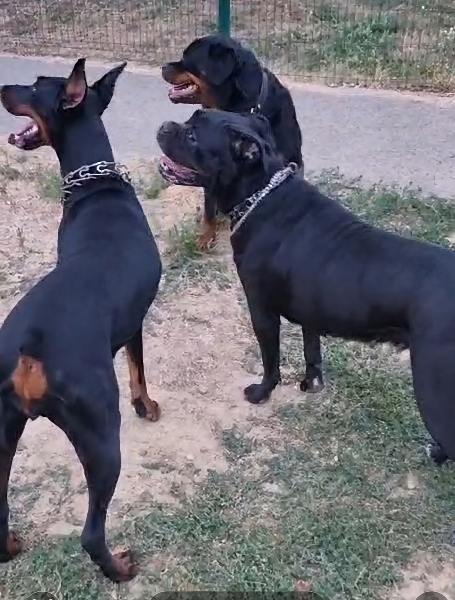 Фото с нашей площадки!