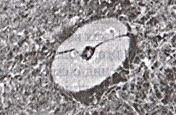 Рис.2. Диск на могиле Юши (Иисуса). Взято из [6,с.210].