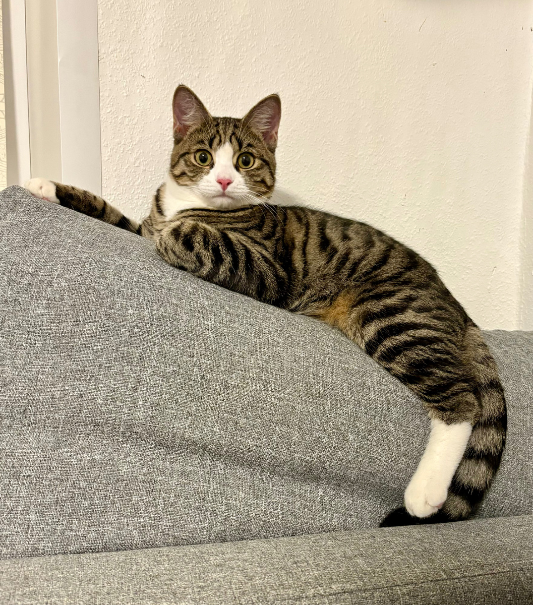 «Мам, какая ещё гречка?»