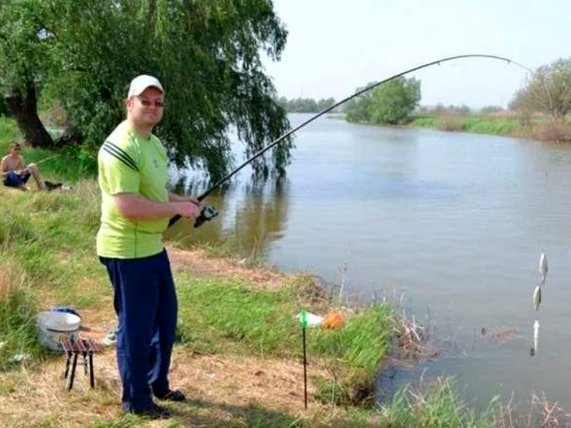 Во время хода вобла особенно жадная