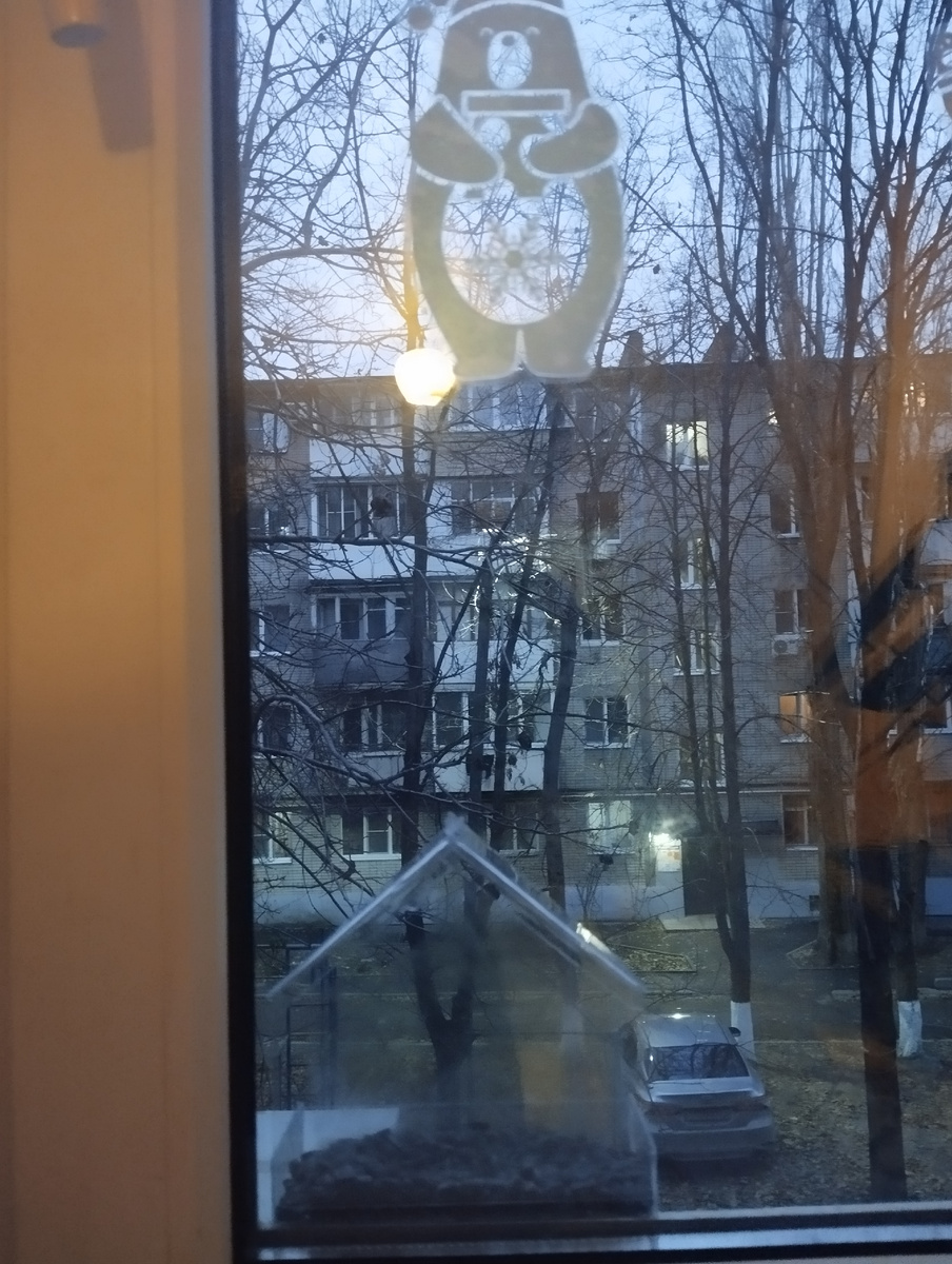 Нет, птицы не успевают гадить. Пушистый и пернатый  прилетает, хватает зёрнышко и улетает на дерево...