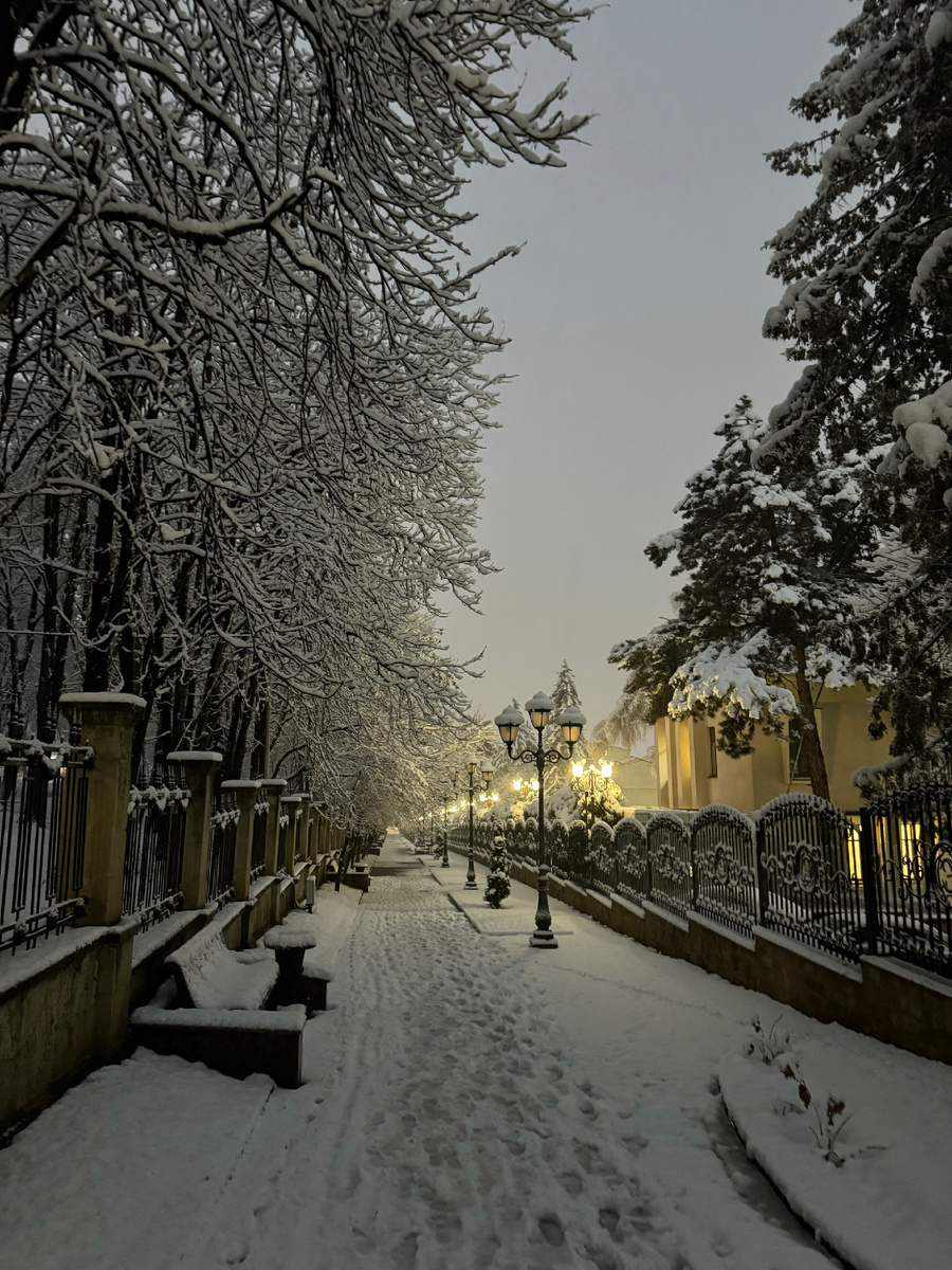 фото Сад в стиле Paradise ®
