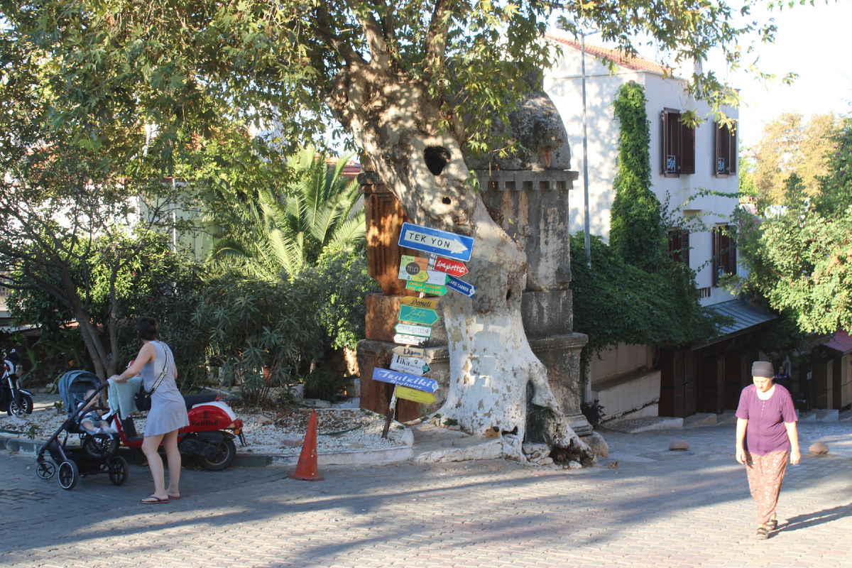 Это самая известная - "ЛЬвиная"