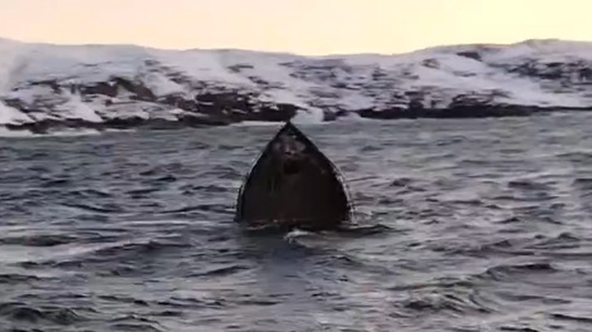    Фото: пресс-служба Северо-Западной транспортной прокуратуры