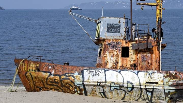  Фото: Лев Федосеев / ТАСС