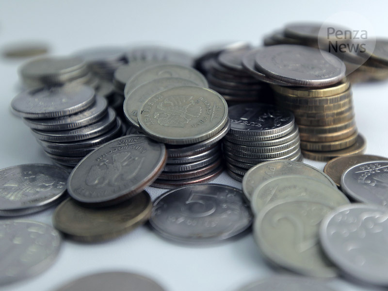    © Фото из архива ИА «PenzaNews»