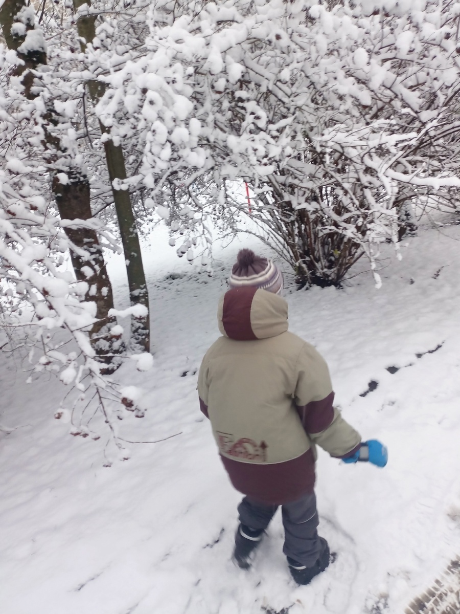 Младший сын.