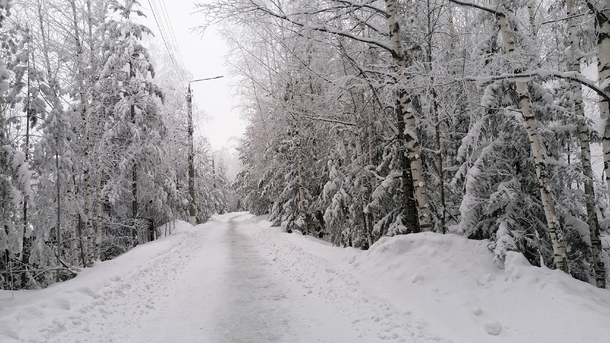 Заснеженная дорога, фото автора