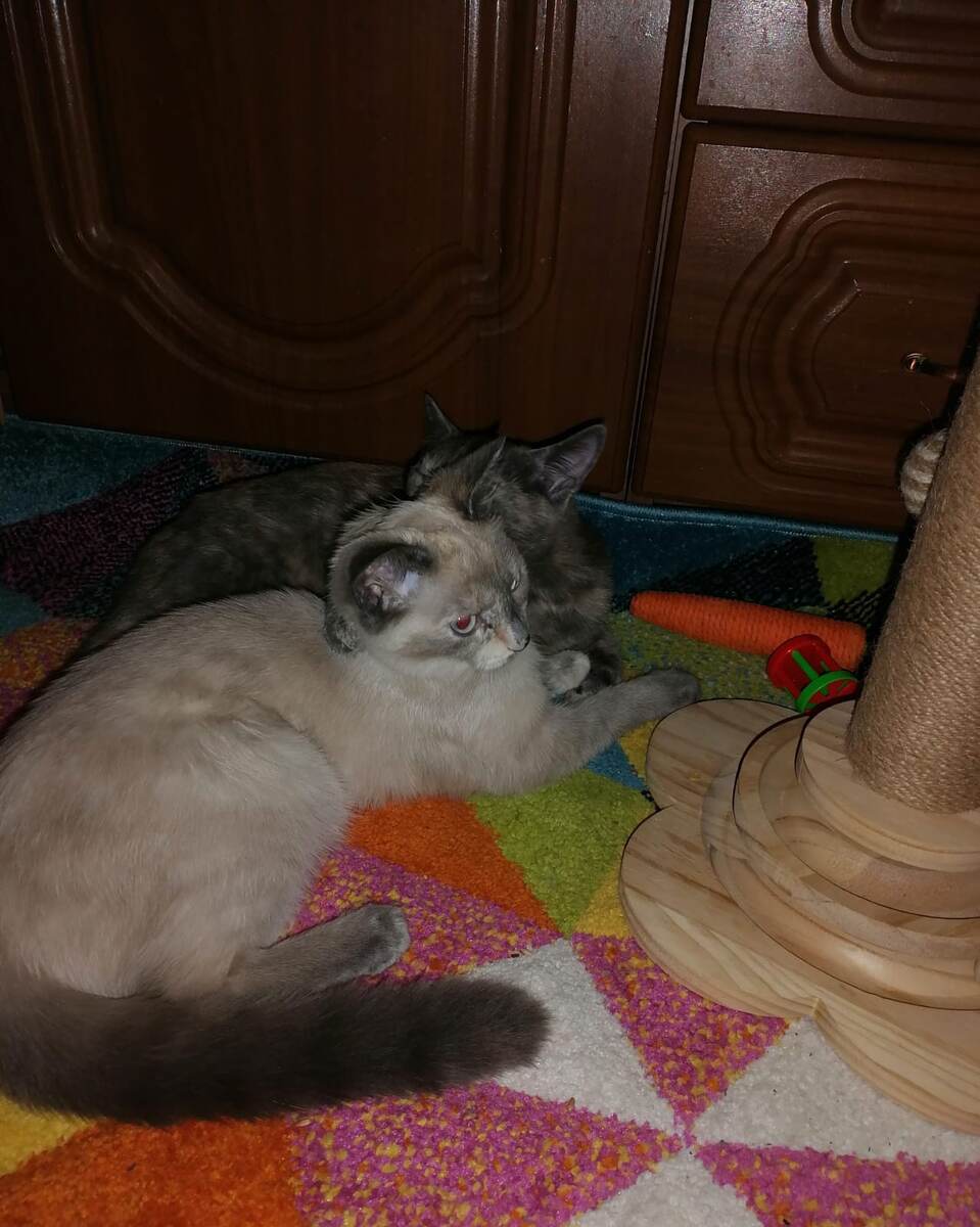 фото автора. листайте дальше  