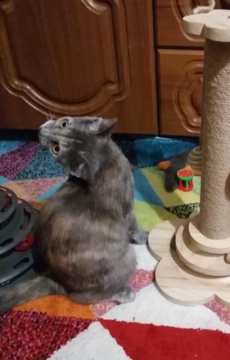 Муся. Крутилась, вертелась, как попало получилась. фото автора 