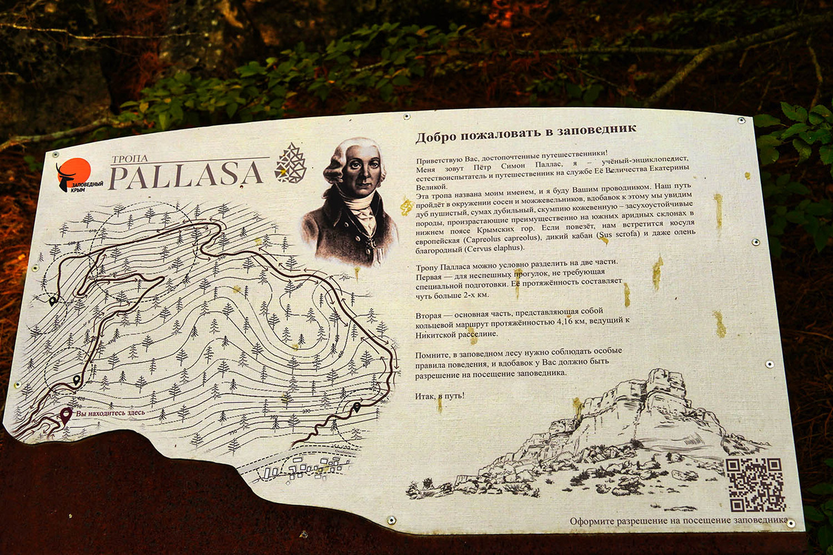 Маршрут тропа палласа. Демерджи на карте крыма. Ангарский перевал демерджи маршрут. Маршрут тропа палласа. Маршрут тропа палласа.