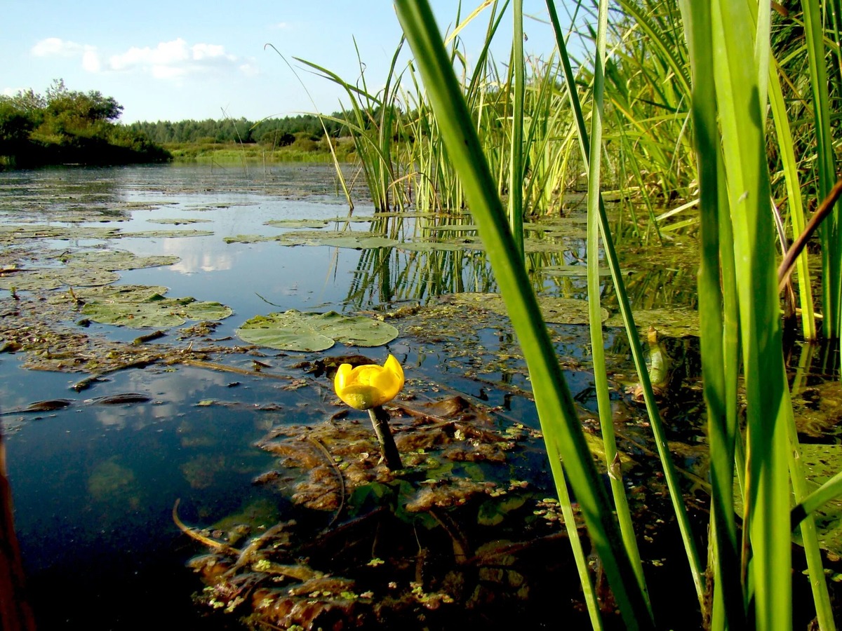 фото из интернета