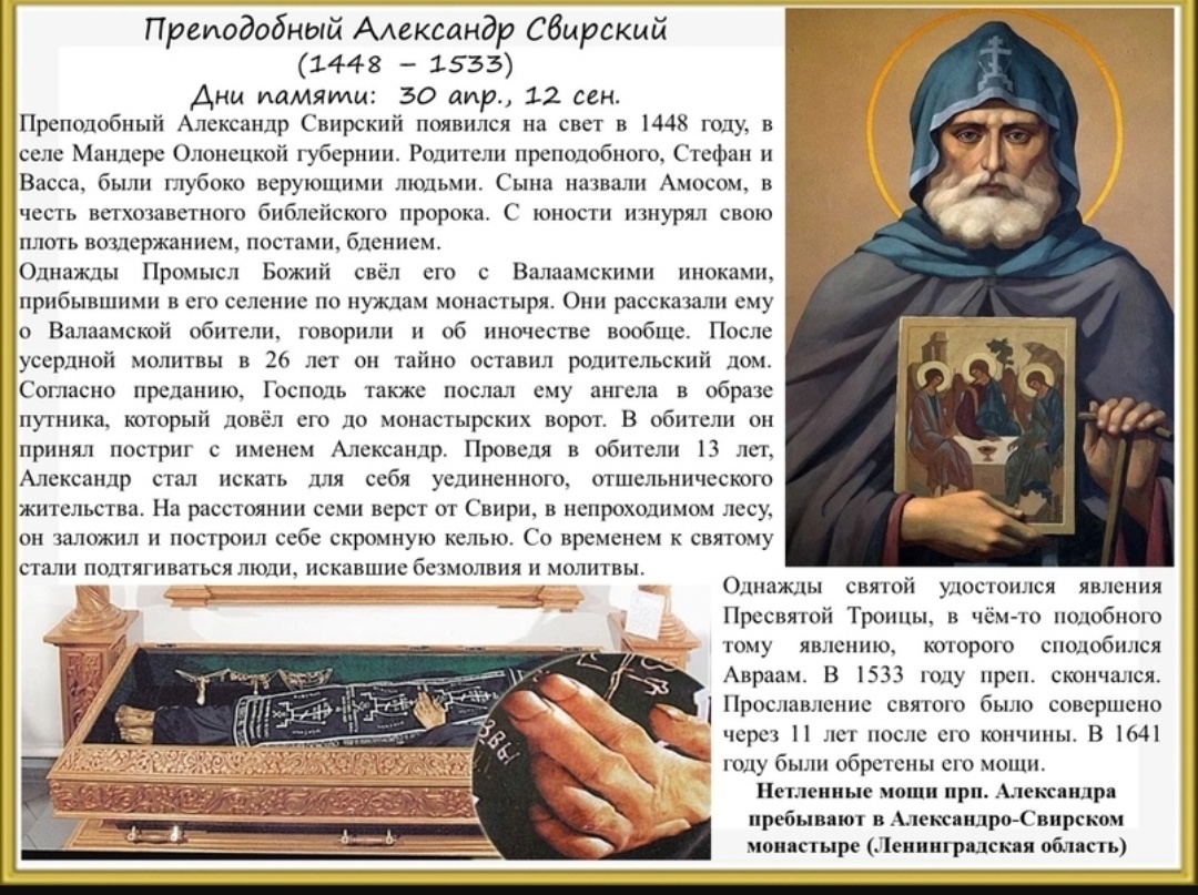 Фото из сети интернет