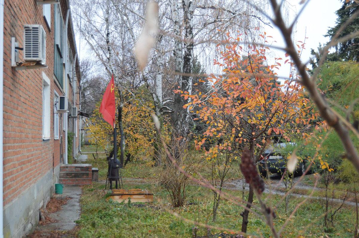 Фото автора. Ноябрь 2024.