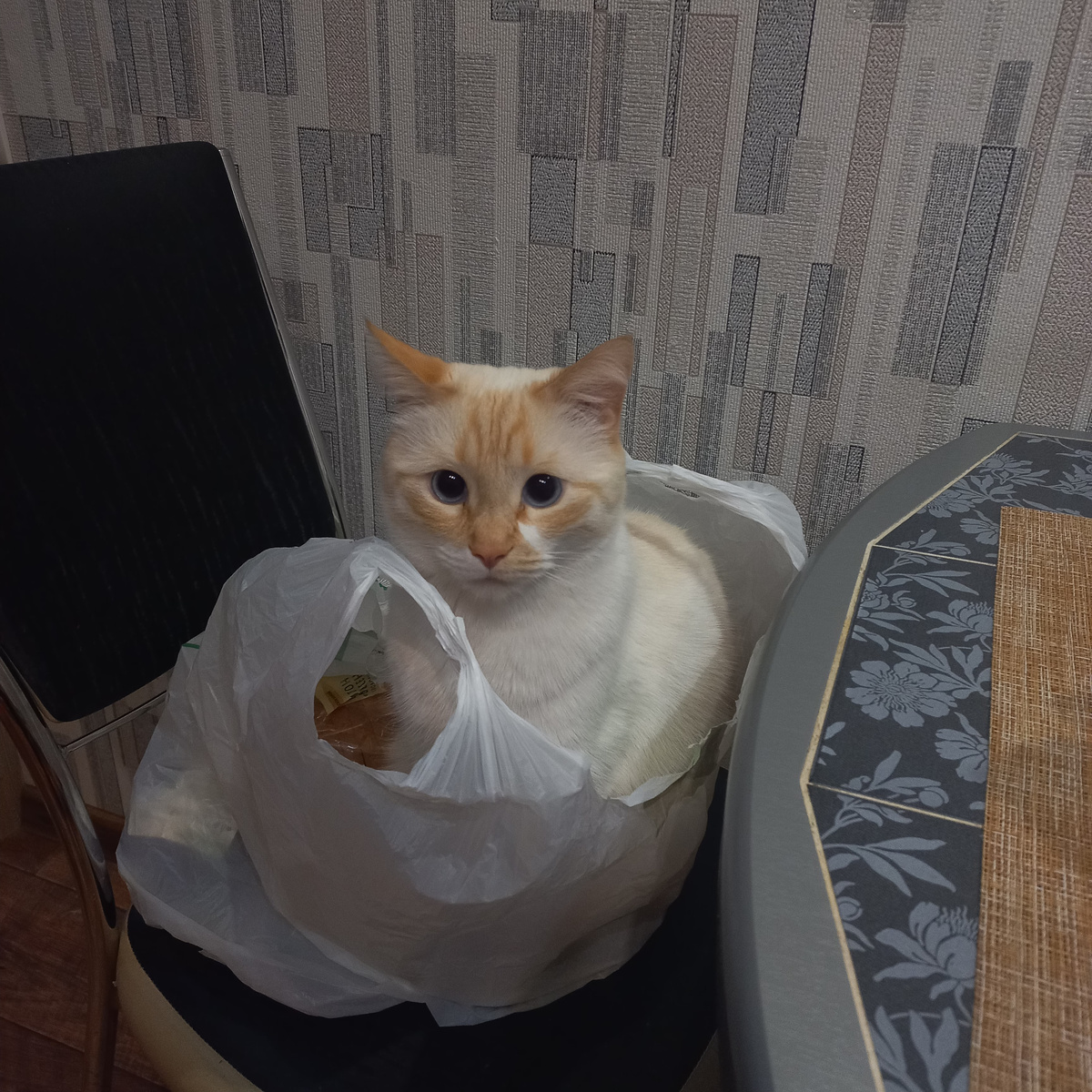 Наташа, где всё?